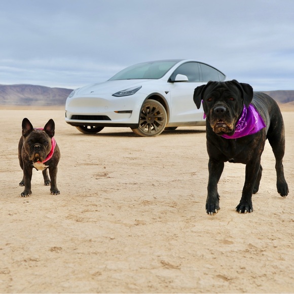 Meet your Posher, Tracie - Picture 2 of 14